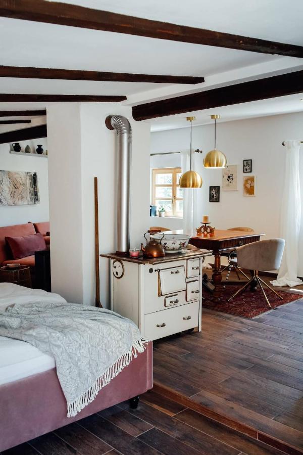 Apartment Aussee- Atelier Salzherrenhof- Kueche, Wlan, Netflix Bad Aussee Kültér fotó